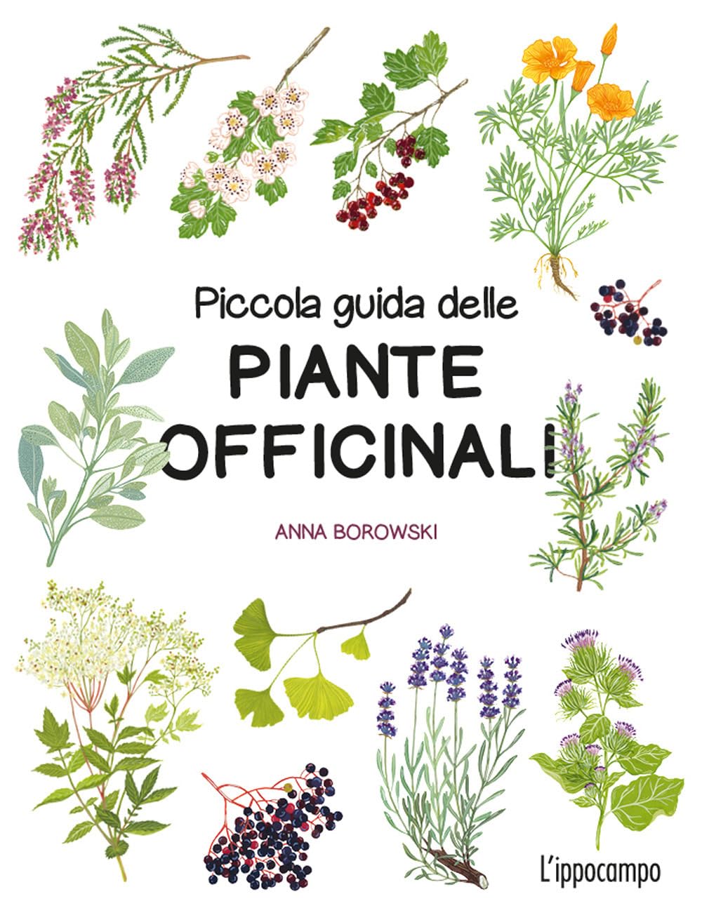 PICCOLA GUIDA DELLE PIANTE OFFICINALI • Anna Borowski
