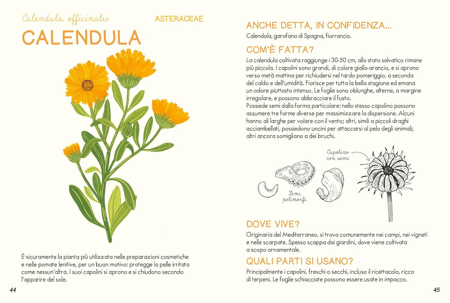 PICCOLA GUIDA DELLE PIANTE OFFICINALI • Anna Borowski