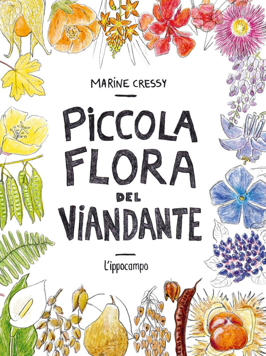 PICCOLA FLORA DEL VIANDANTE • Marine Cressy