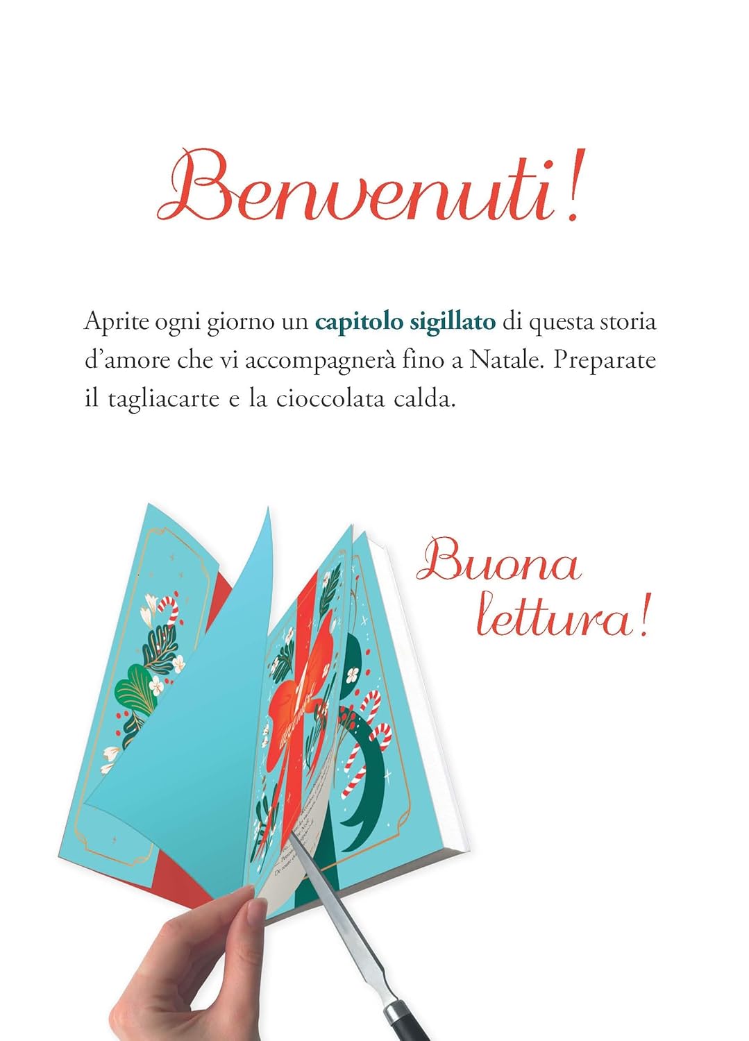 SECRET SANTA • Sophie Jomain