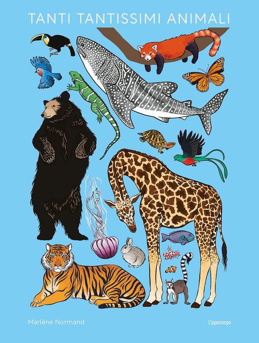 TANTI TANTISSIMI ANIMALI • Marlène Normand