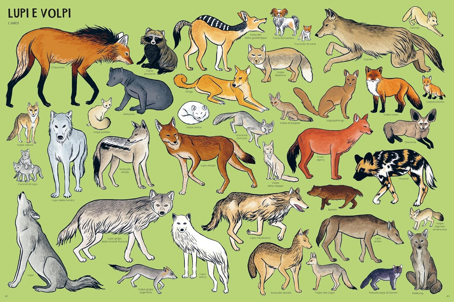 TANTI TANTISSIMI ANIMALI • Marlène Normand