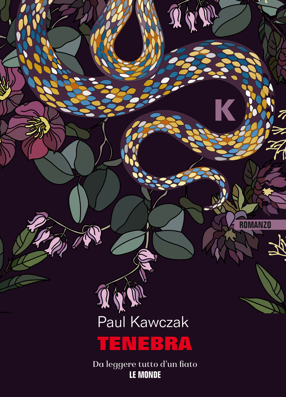 TENEBRA • Paul Kawczak