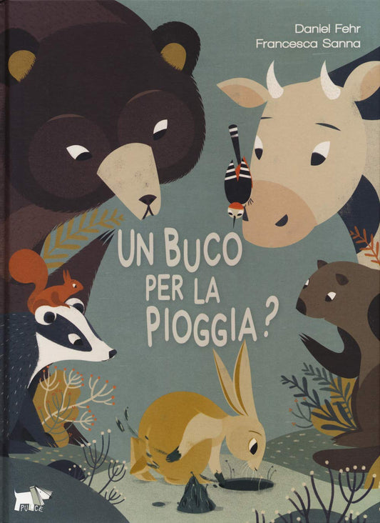 UN BUCO PER LA PIOGGIA? • D. Fehr, F. Sanna