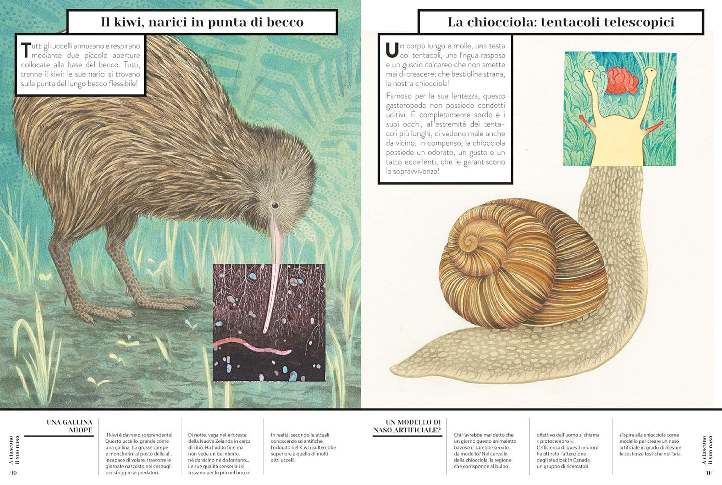 ZOODORATO: COME SENTONO GLI ANIMALI • E. Figueras, C. De Gastold