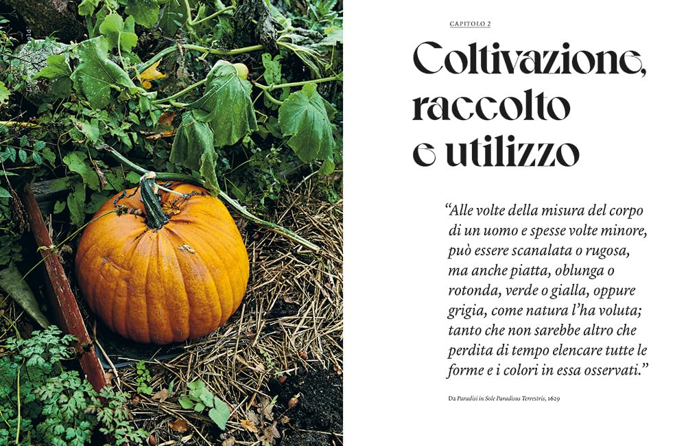 ZUCCA • A. Herdevall, A. Rydell